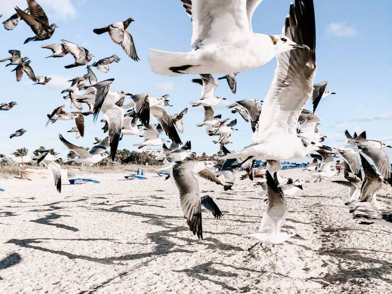 Rural Real Estate is Booming in&nbsp;Florida